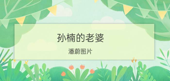 孙楠的老婆（潘蔚图片 个人资料）